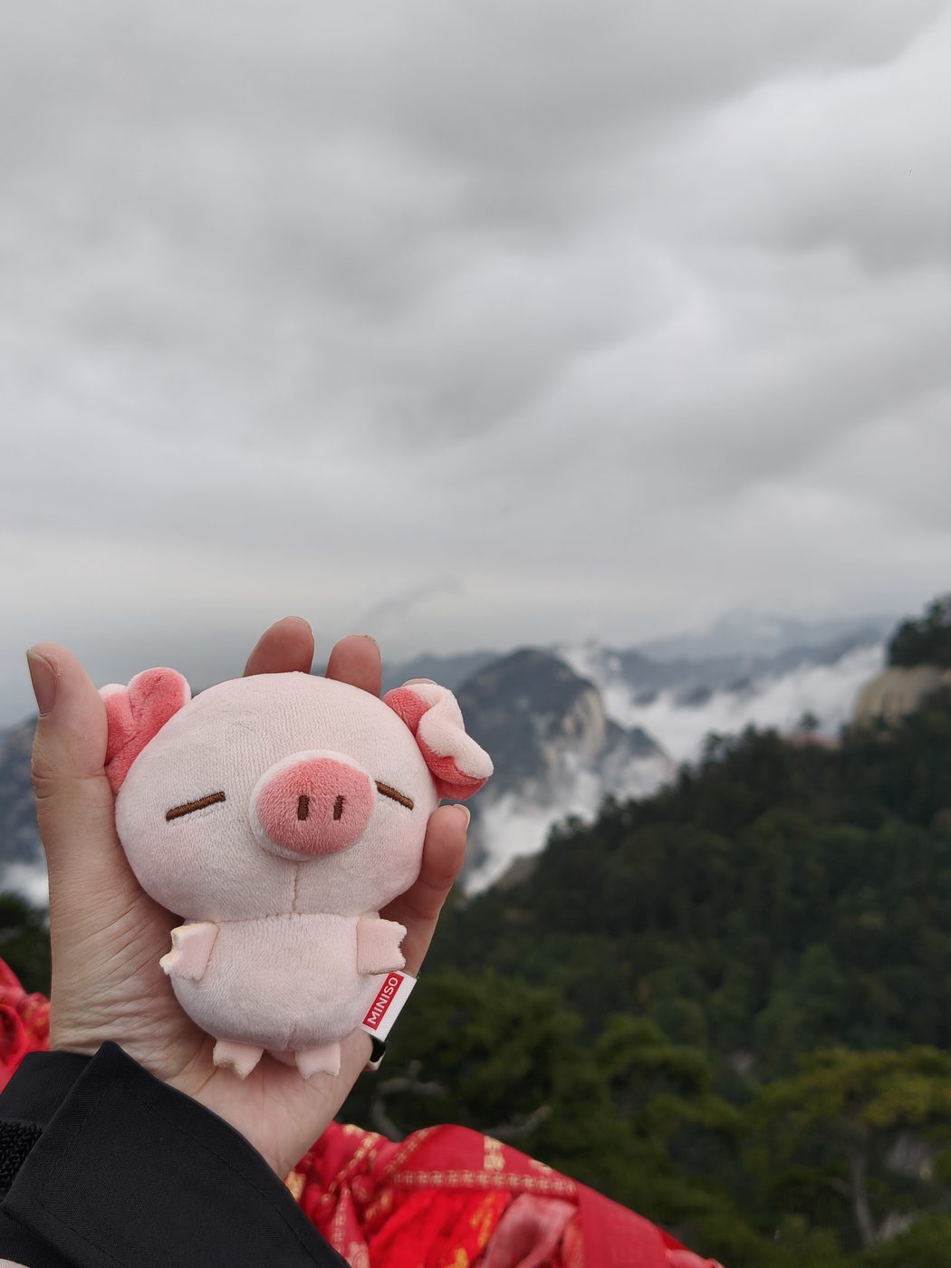 举猪儿爬华山